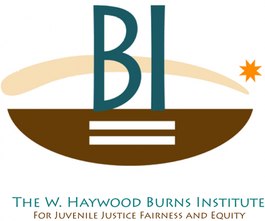 The W. Haywood Burns Institute