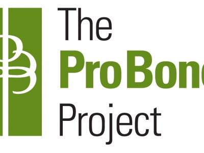 proBonoProject
